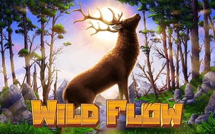 wild-flow