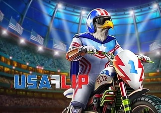 usa-flip